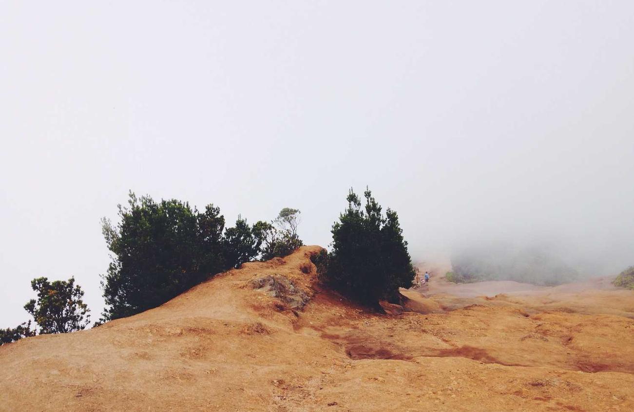 优酷移动实名账号：工商注册代理报价