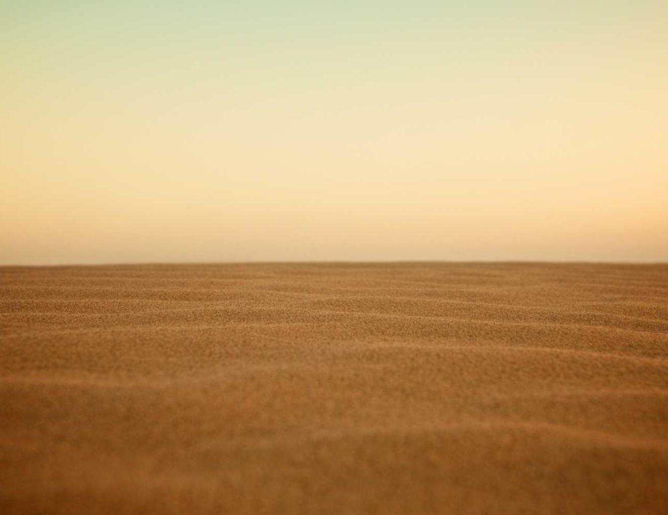 如何克服技术支持辅助攻击中的自攻自受行为？