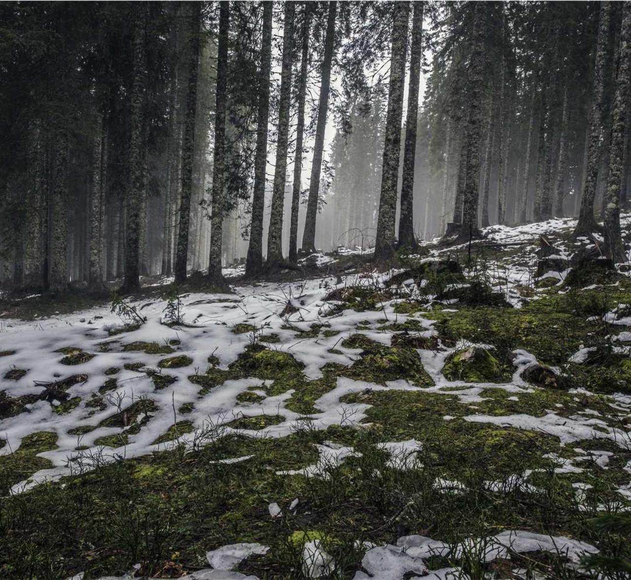 DDOS在线攻击|快声app详情下载教程