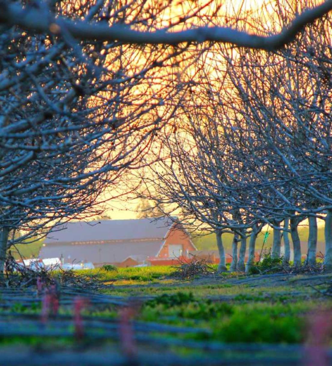 eSIM卡实名账号:天津多平台小程序代理商