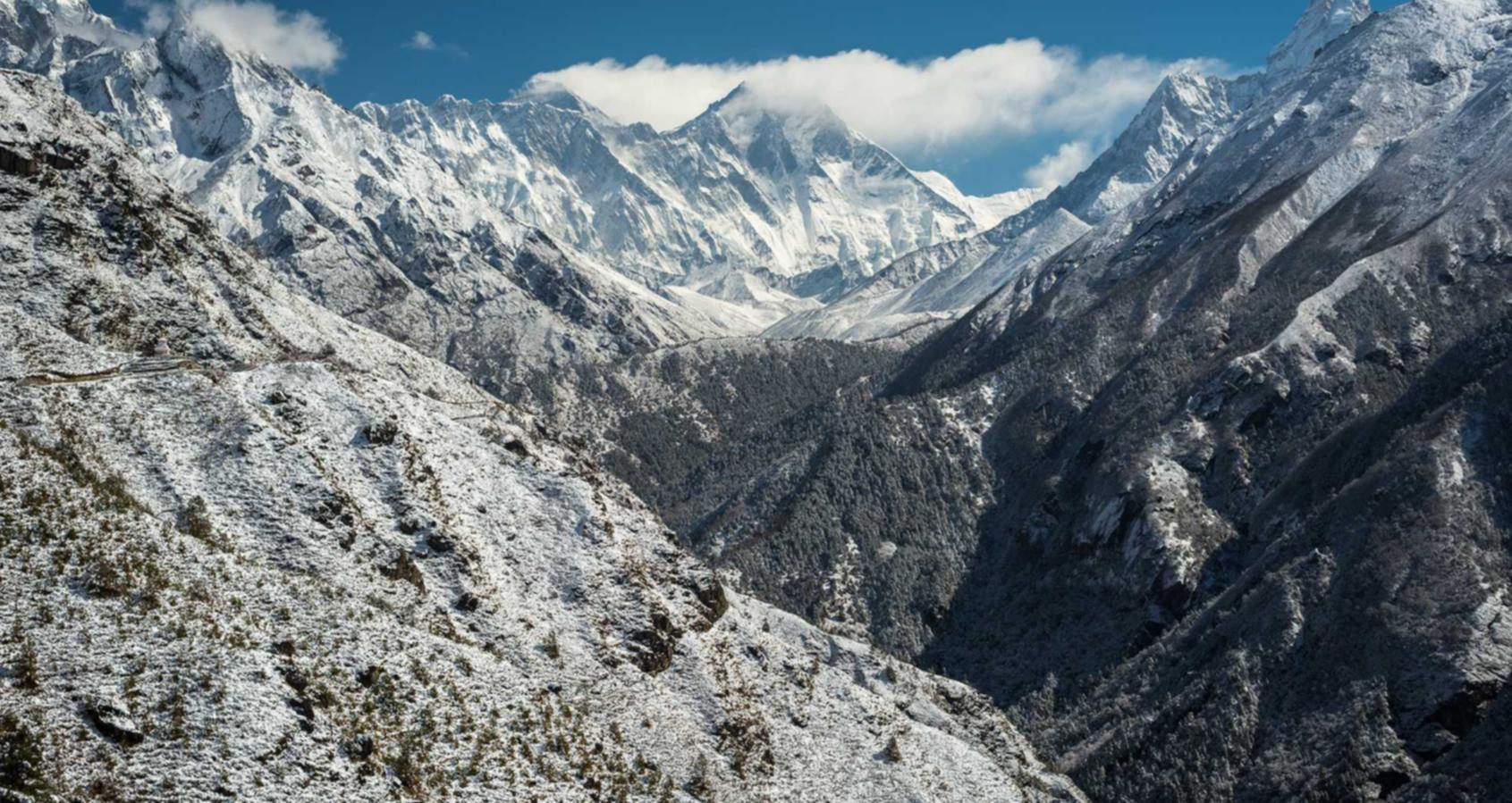 DDOS网页端源码|公司记账代理平台