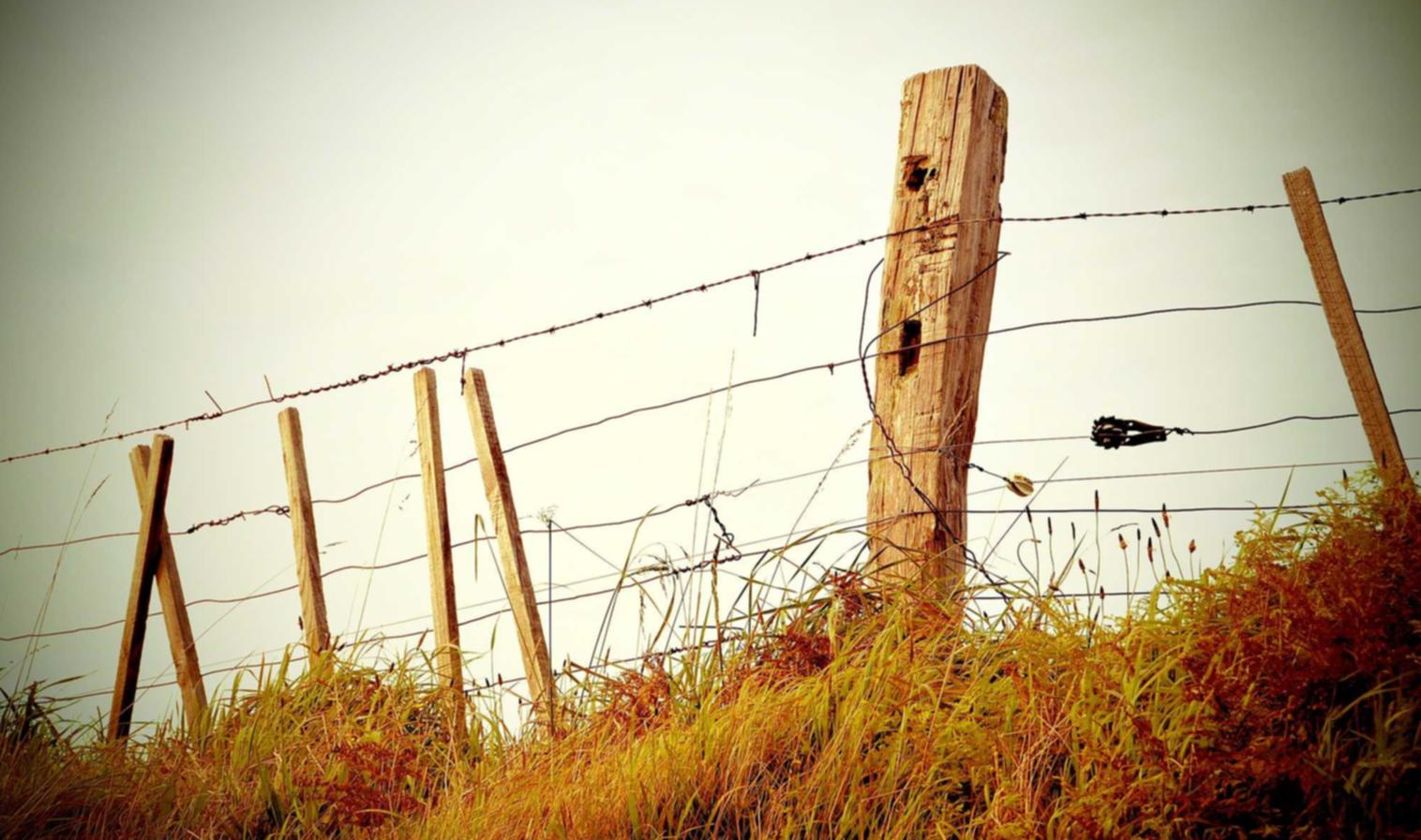 如何加强游戏安全感？