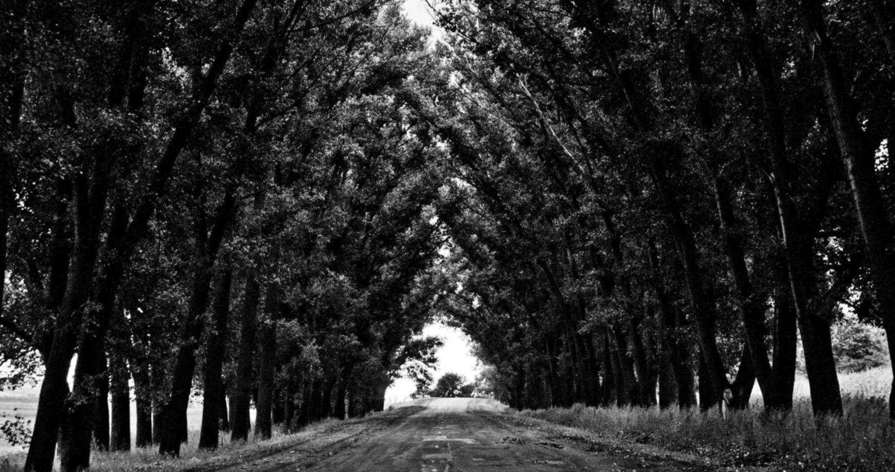 如何增加您网站的PageRank