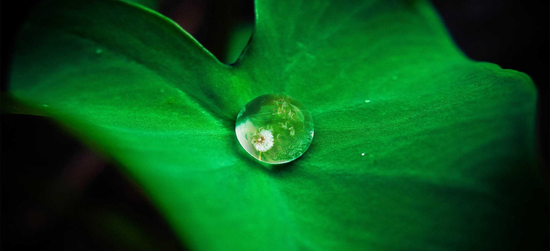 香烟对花粉症的影响