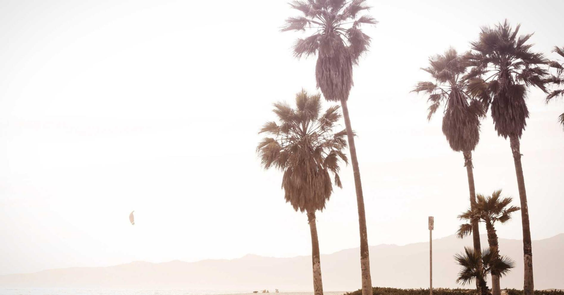 DDOS攻击|合江具APP详情下载教程