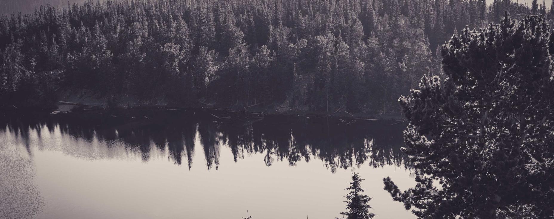 琳琅美股开户最好的平台