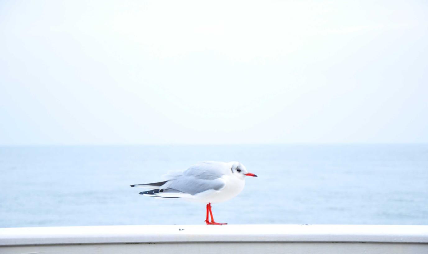 摩登5如何通过线下营销提升线上品牌销售