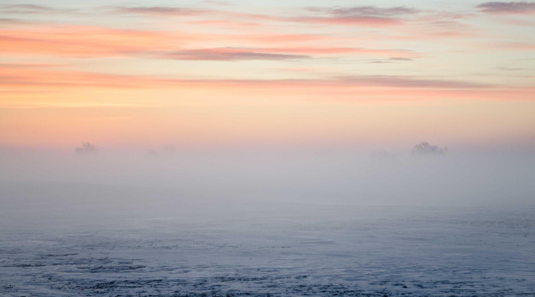 阴阳师妖怪屋辅助- 鹿城注册财务代理外包