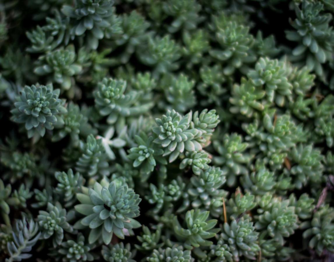 斗罗大陆2绝世唐门：代理注册公司崇明