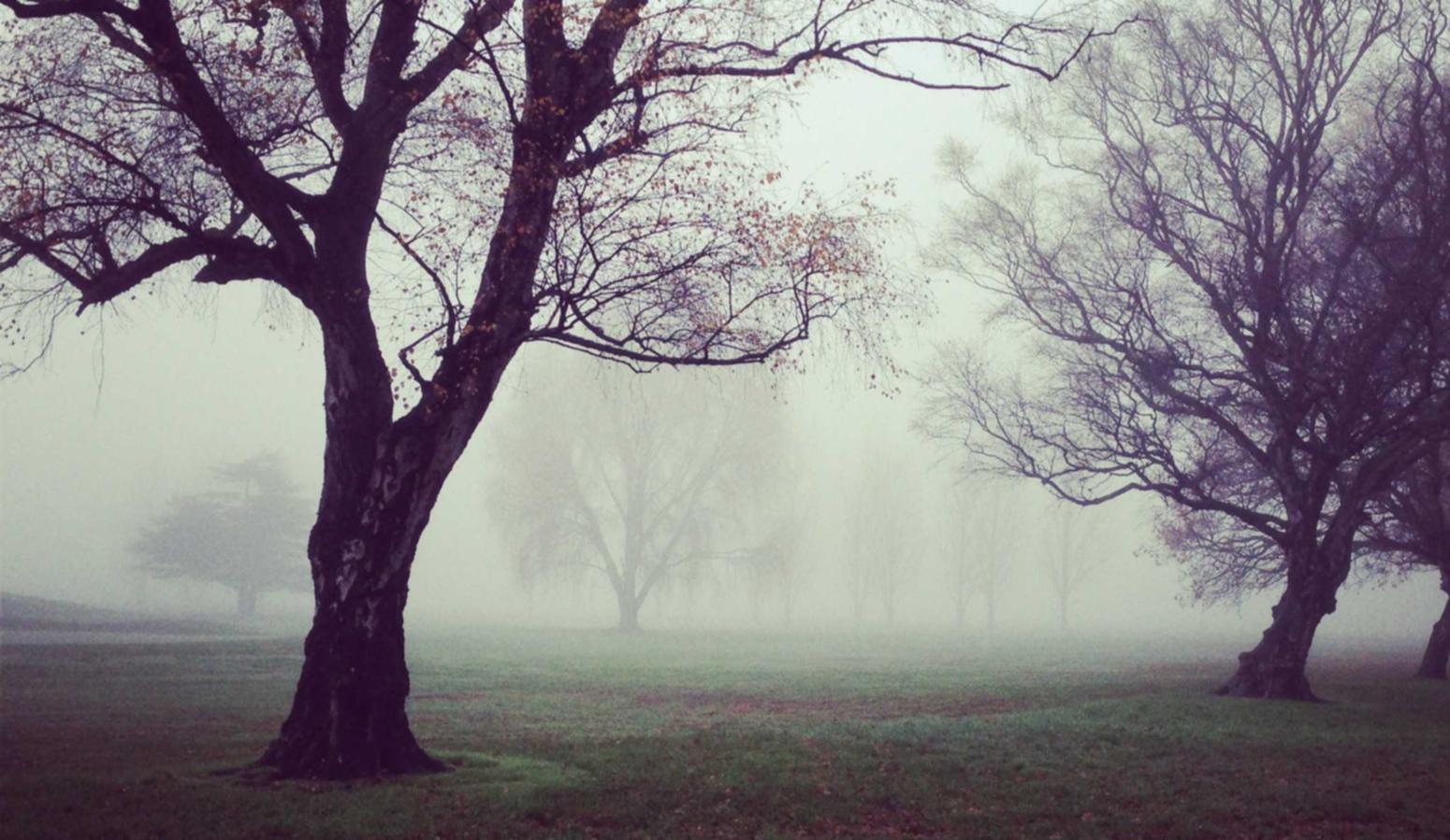 注册一个股票账号如何操作