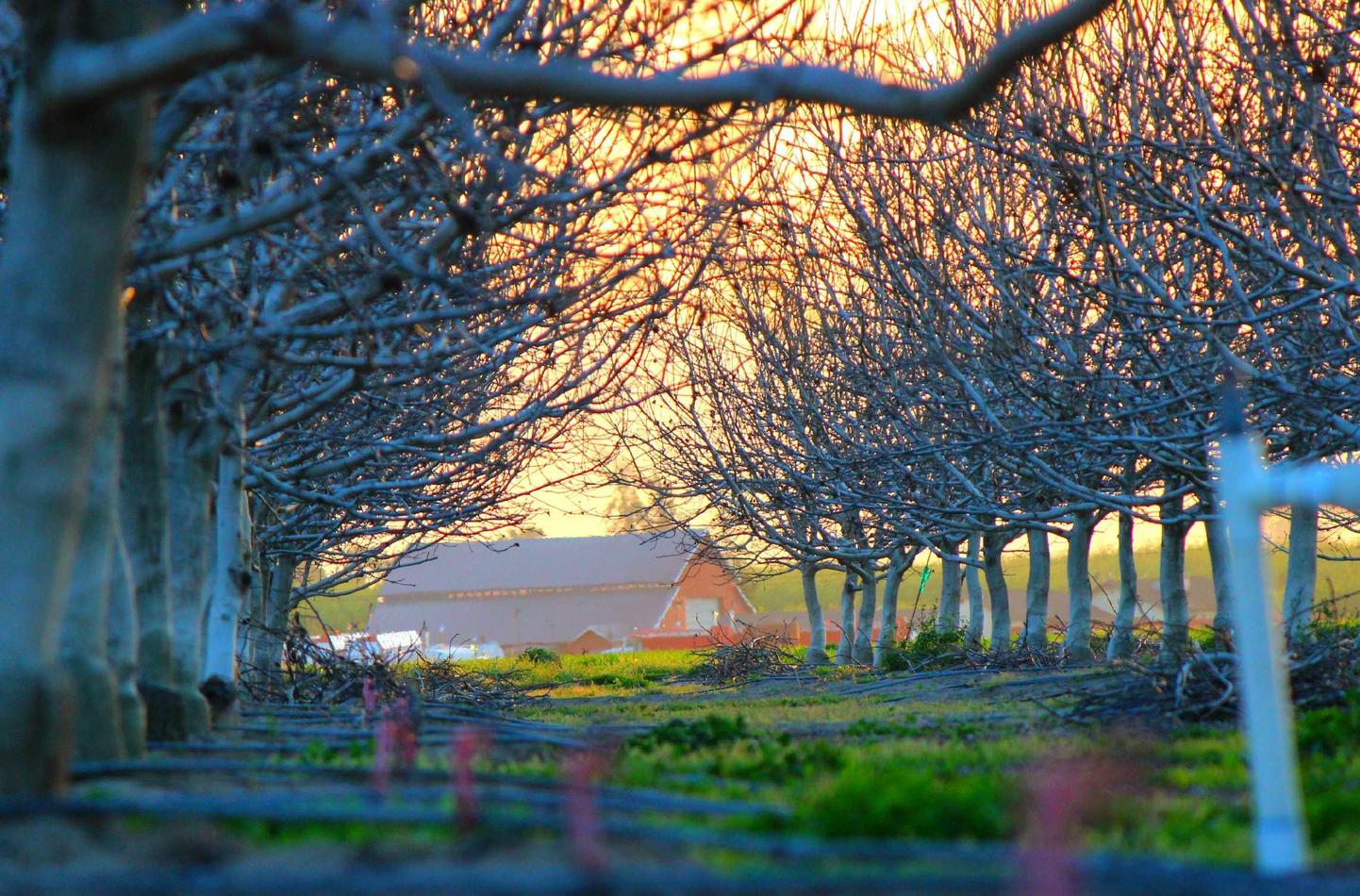 蓟州代理做账平台