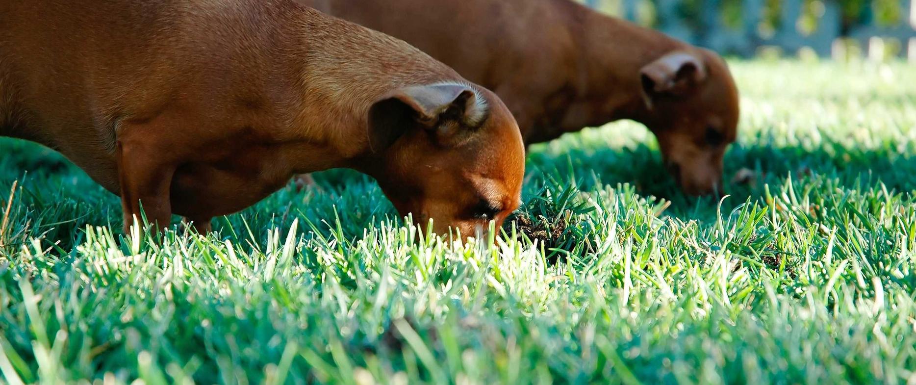 东莞代理游戏平台