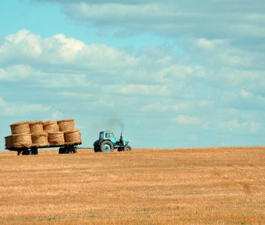 内容创作对 SEO 的影响