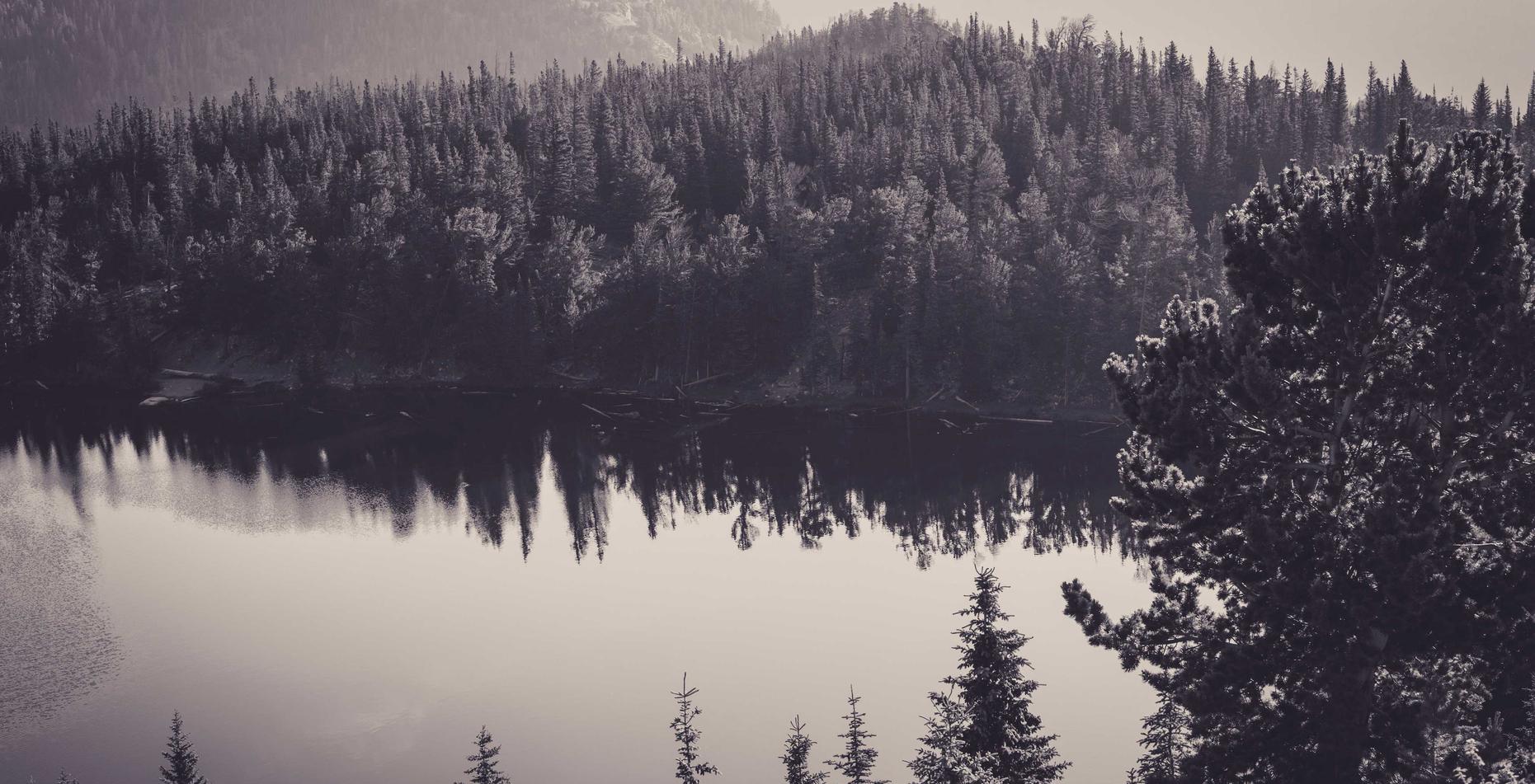 如何利用白色SEO提高排名