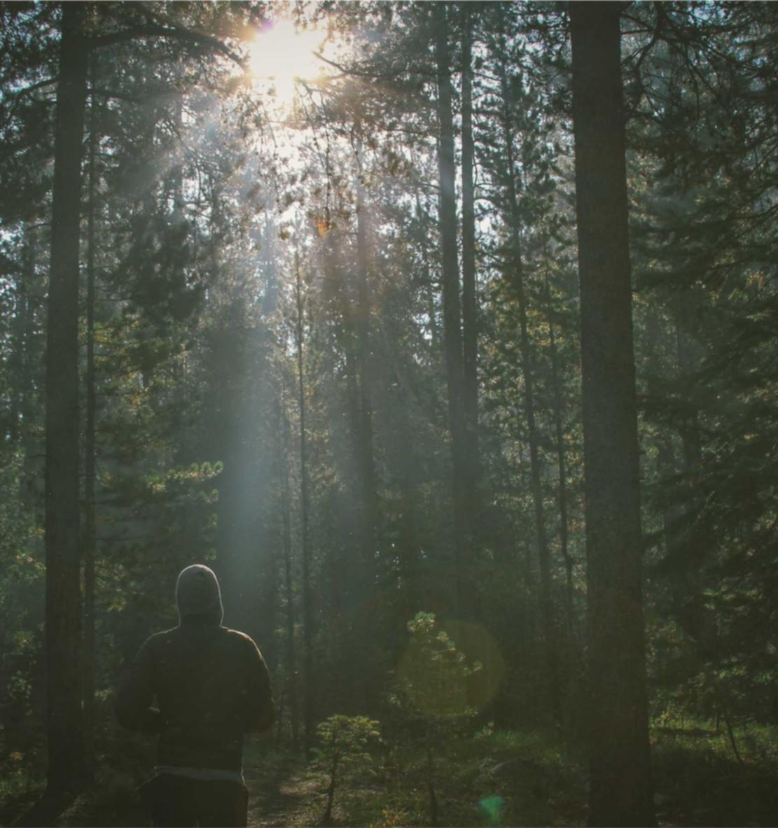 斗圣传说（送328元充值）：购买滑雪装备平台