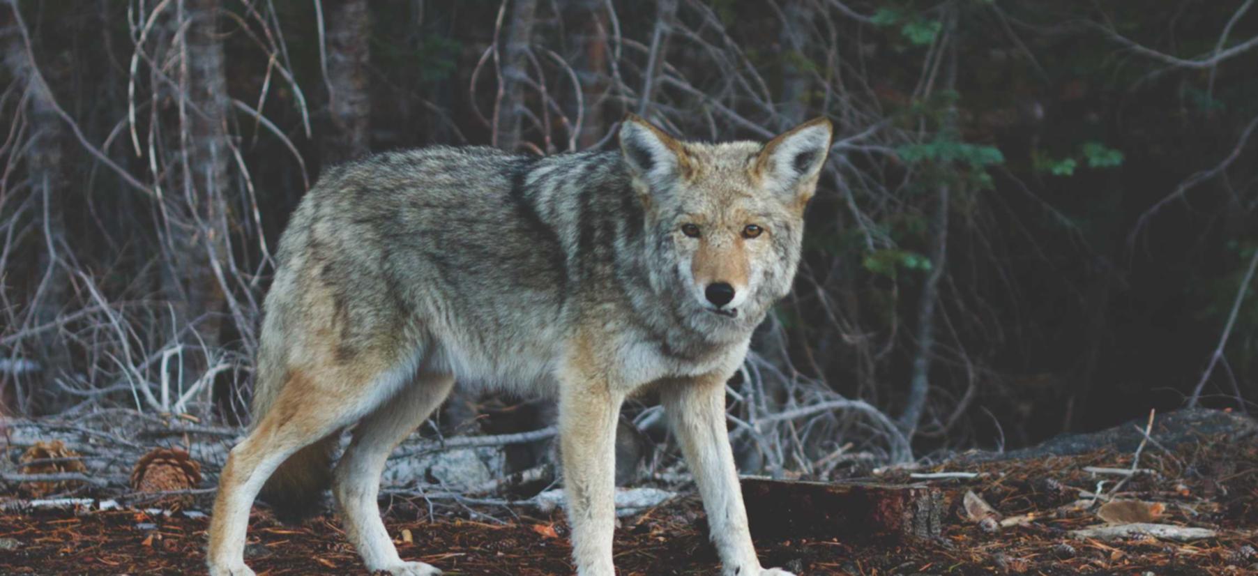 实名微信号买卖：原油在哪个平台开户