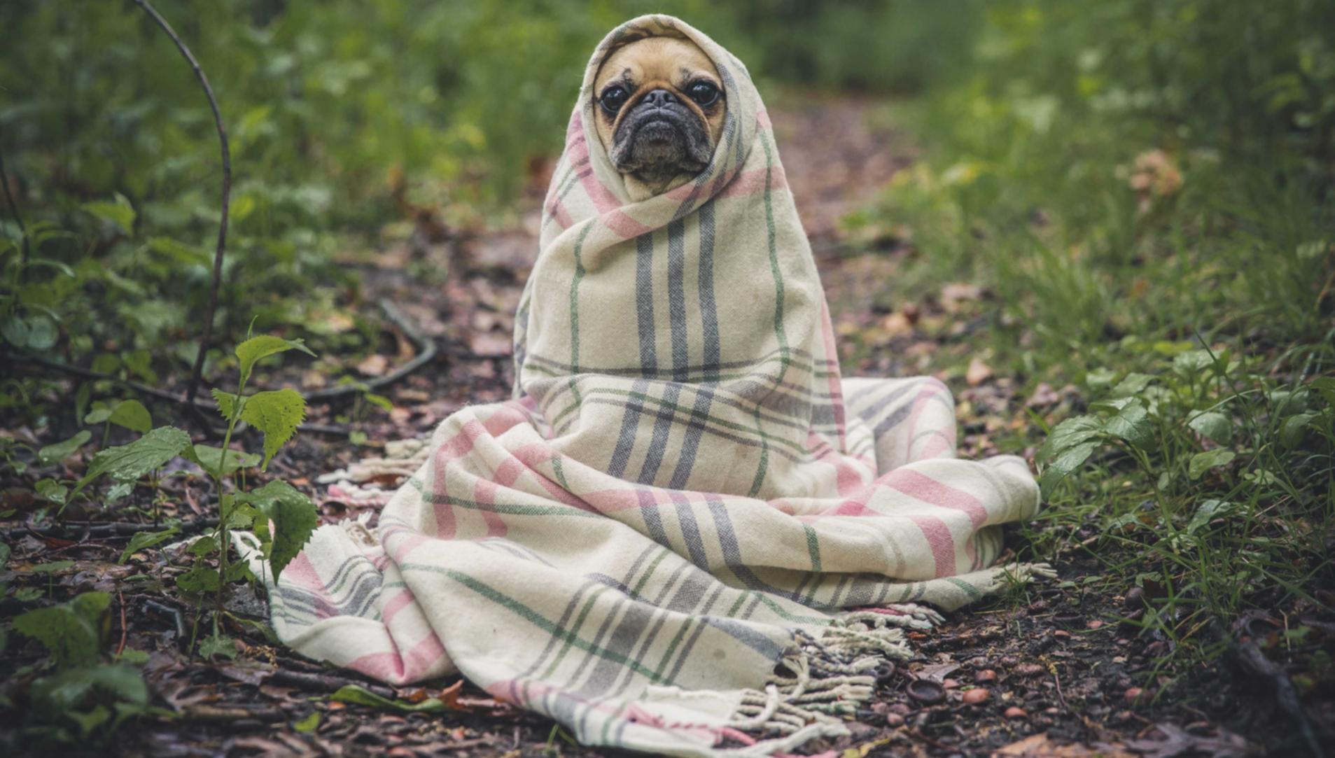 爱喜蓝指南针爆珠：app store中文版详情下载教程