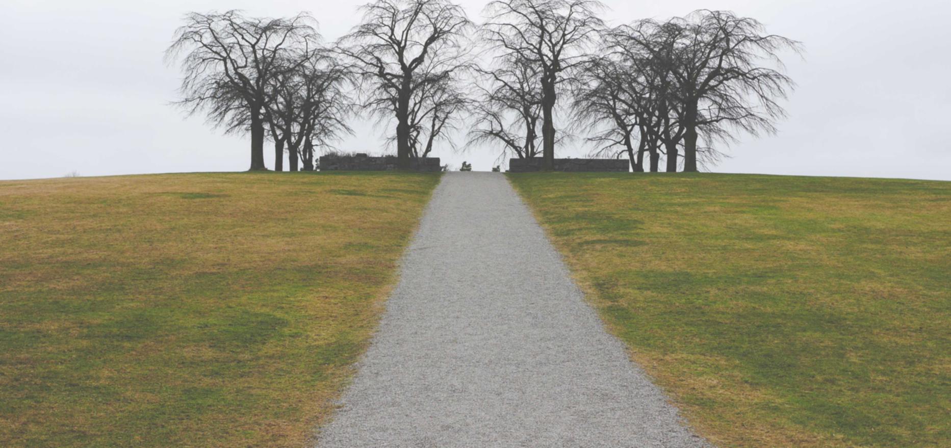 雷神爱上岗app详情下载教程