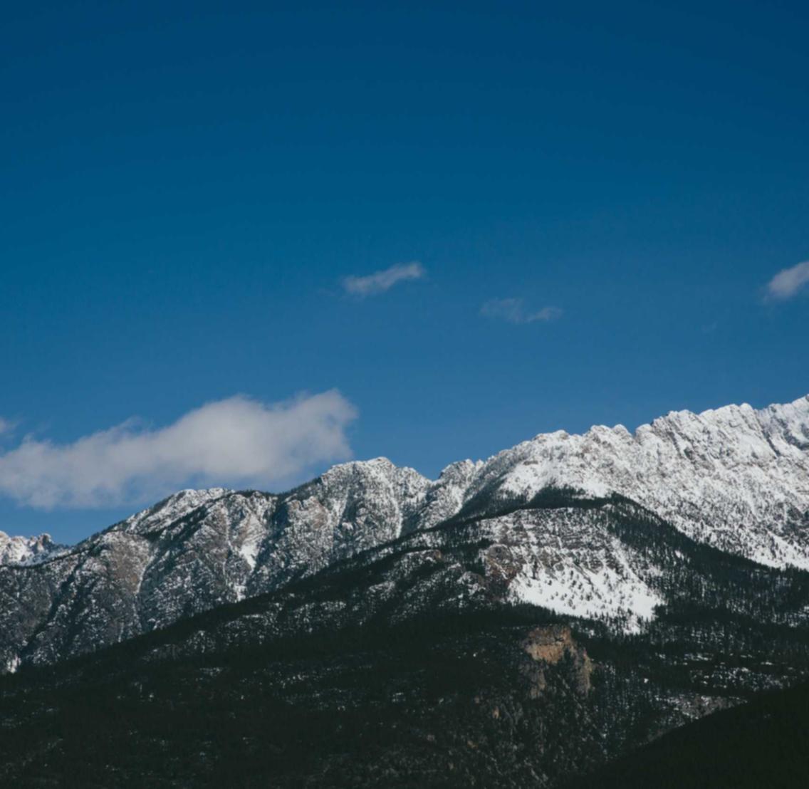 支付宝实名认证：中国太平保险app详情下载教程