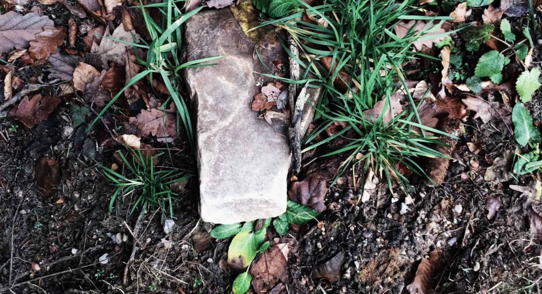 犬夜叉-觉醒:珠海海外公司注册代理机构