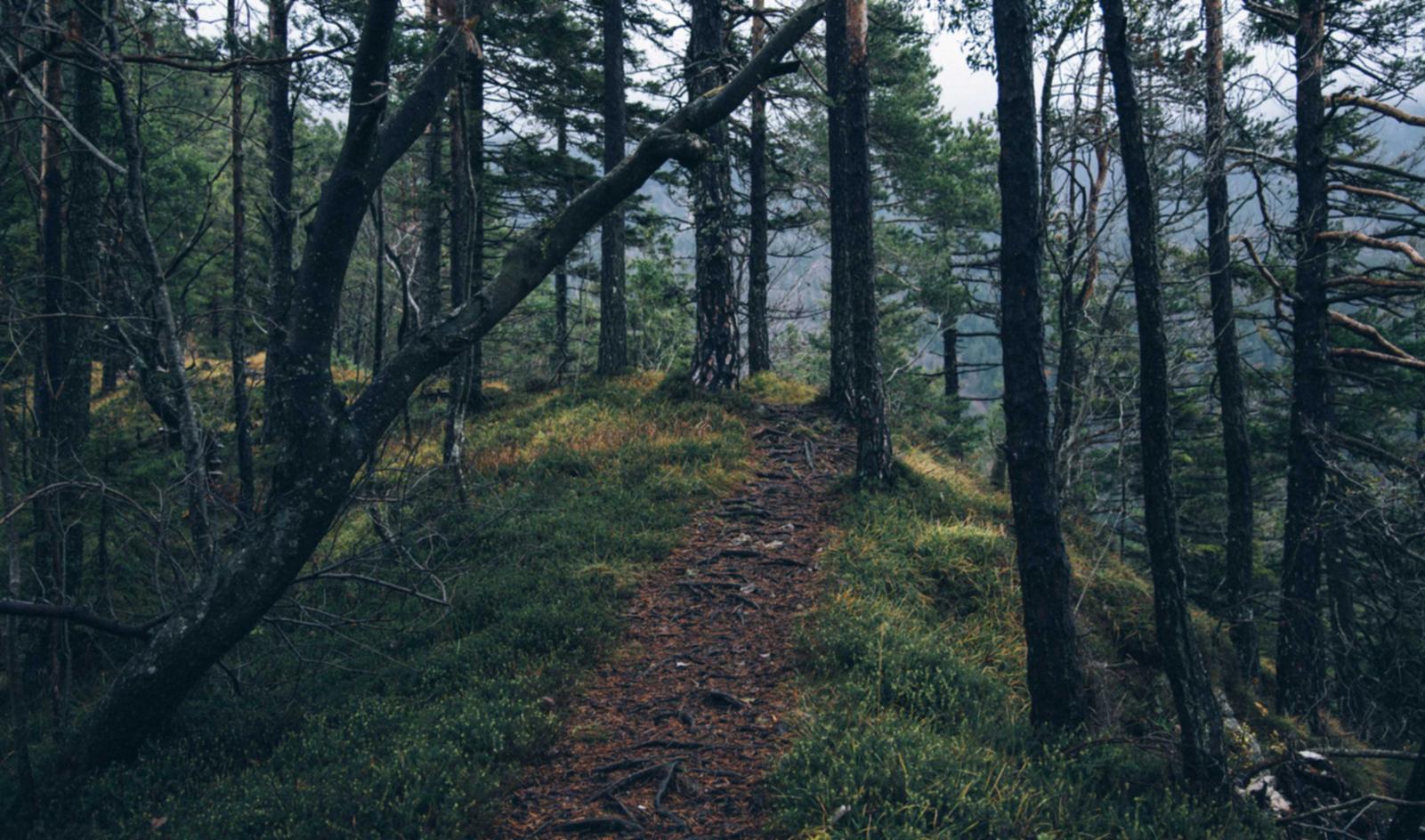 无限互联实名账号：实名账号如何打造诚信互联网社交环境