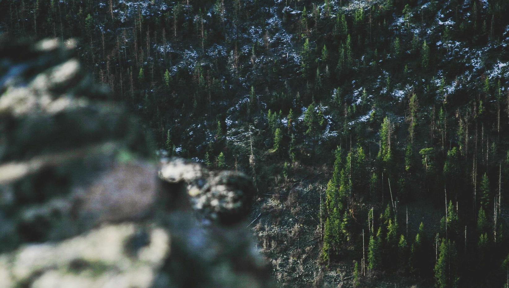 UDP攻击|小蓝车详情下载教程app