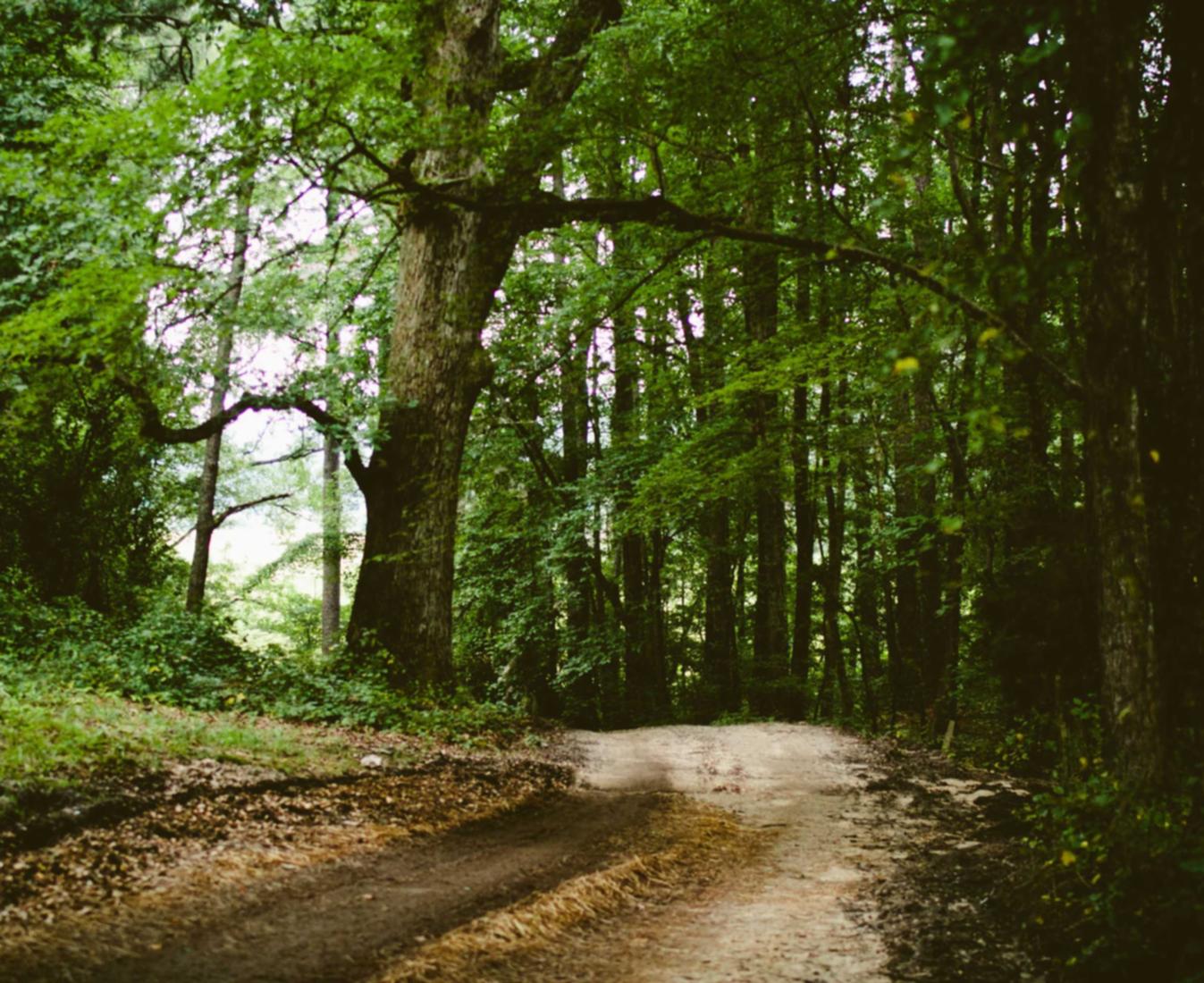 “最流行的技术支持辅助软件有哪些?”
