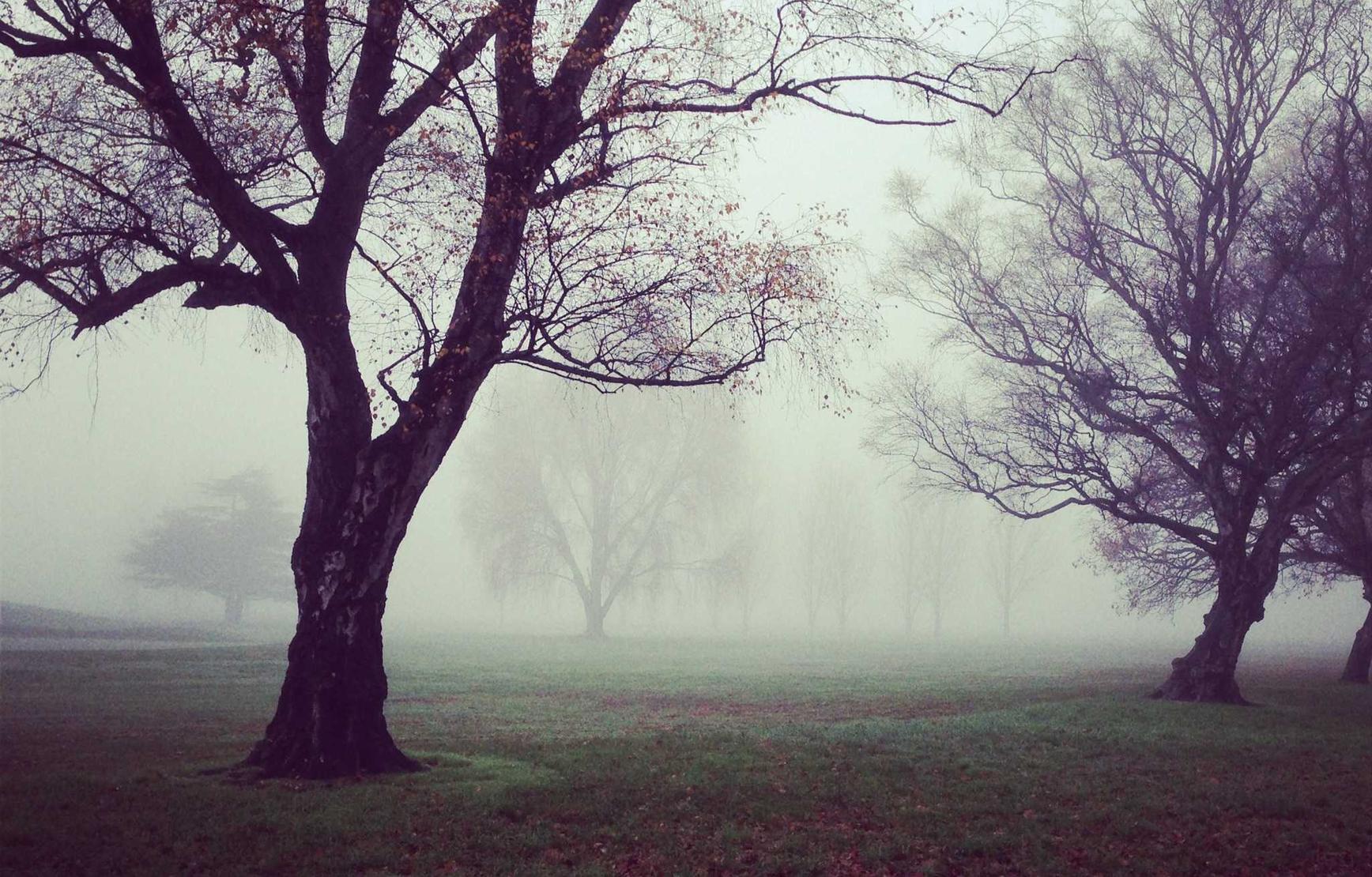 狼人对决辅助- 铂金城代理注册