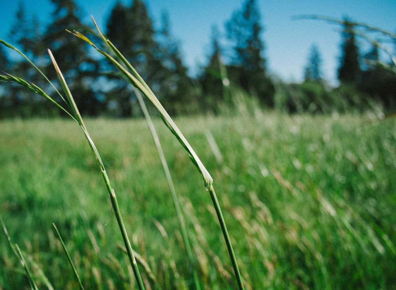 利盈邮配送app详情下载教程