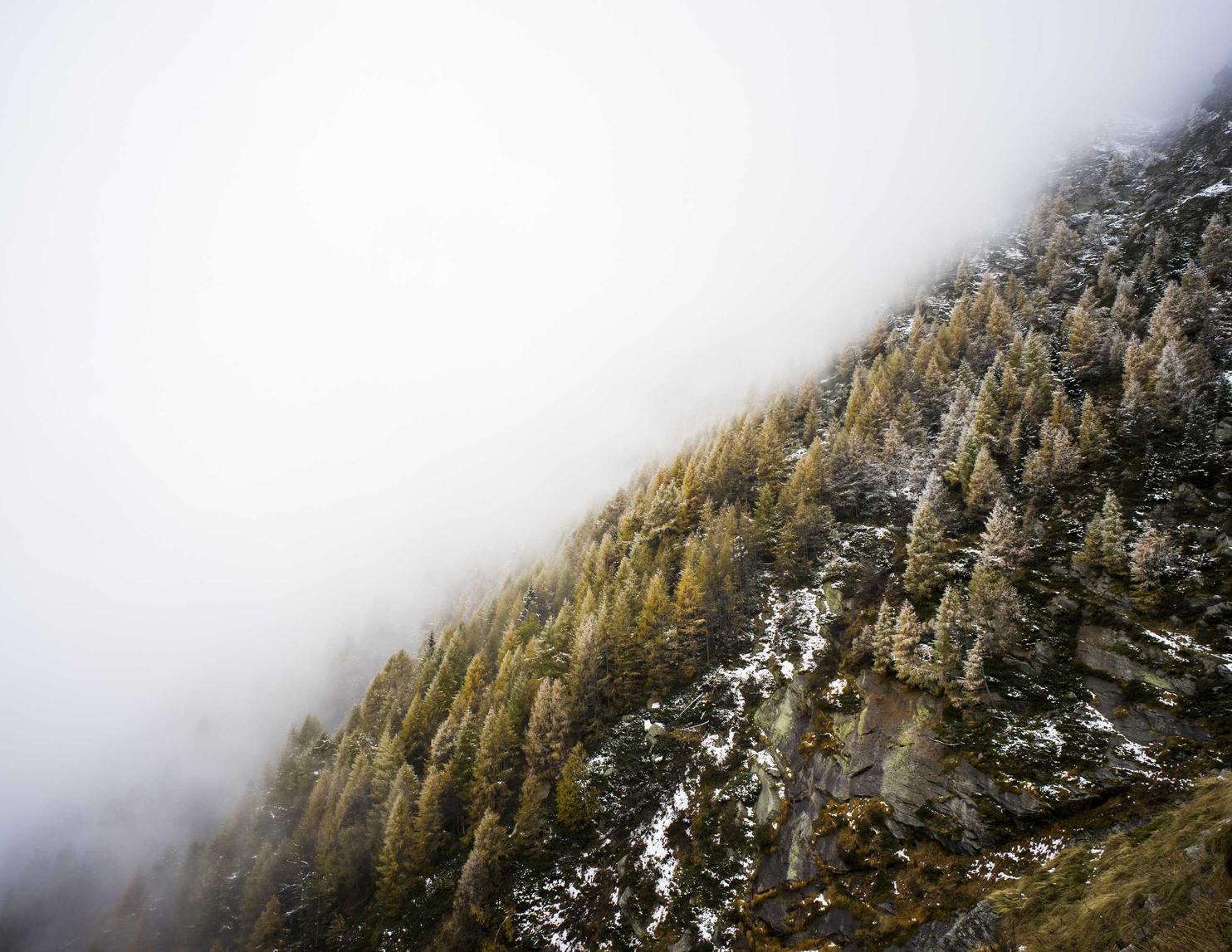 app学习库详情下载教程