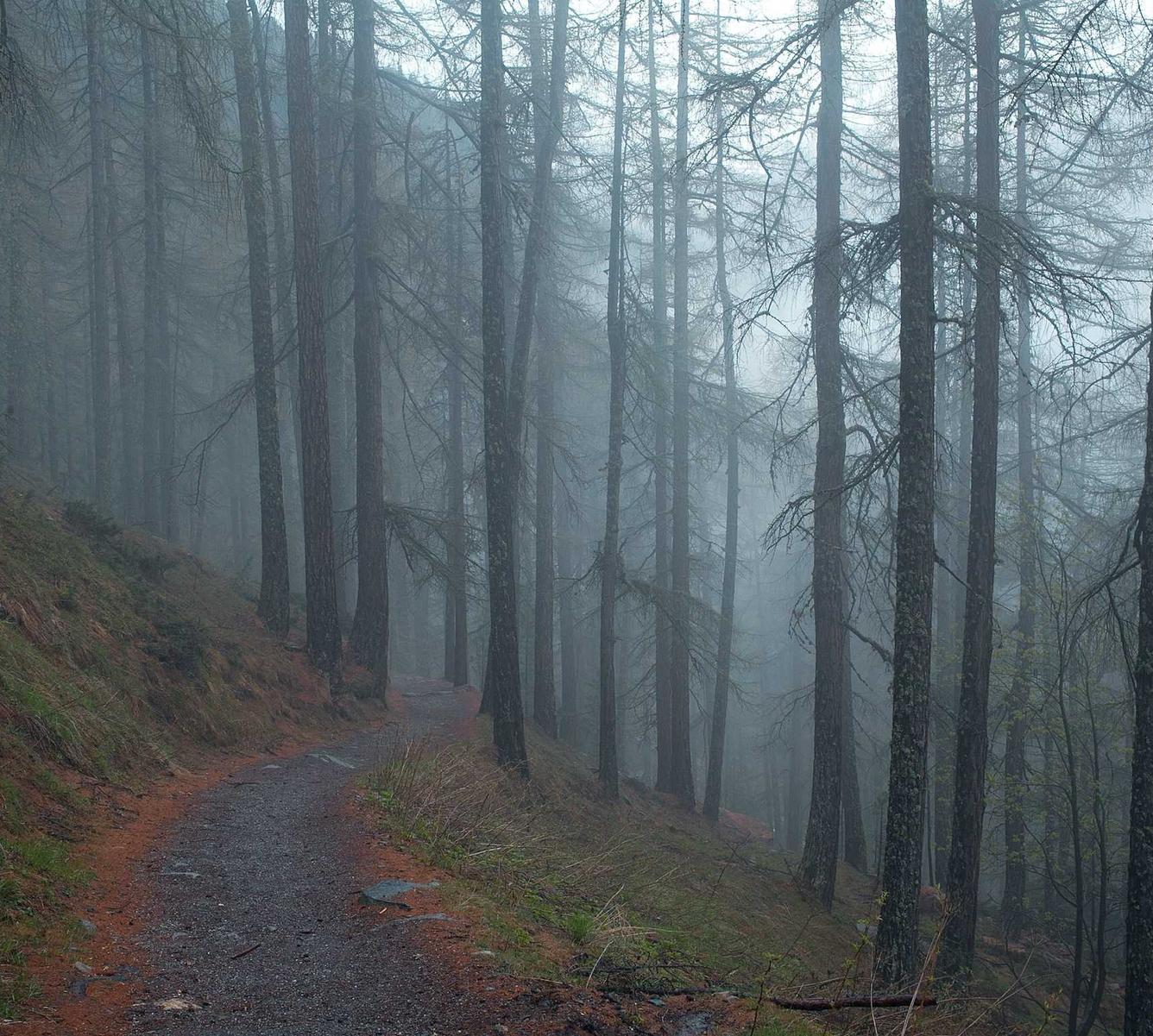 中麦通讯实名账号：流量卡和社交网络的关系