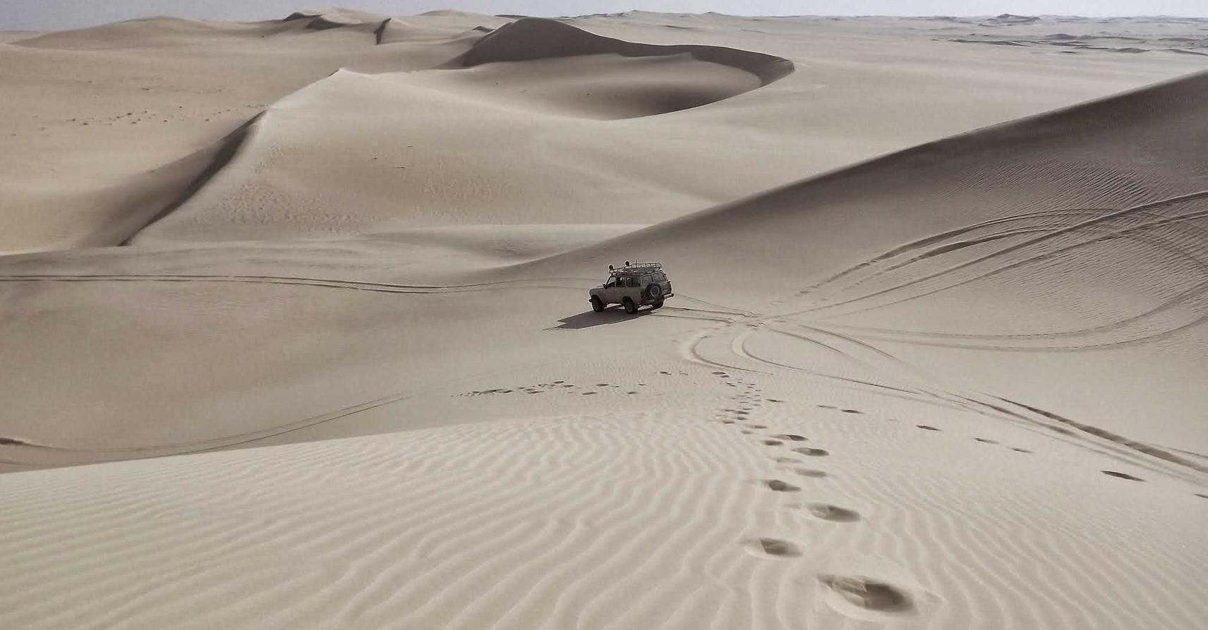 白号发卡网：流量卡的分类及购买方式