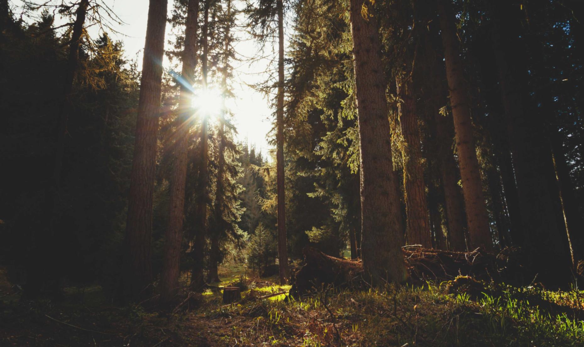 物联卡买卖：实名认证，为各行各业提供有效的人才招聘途径