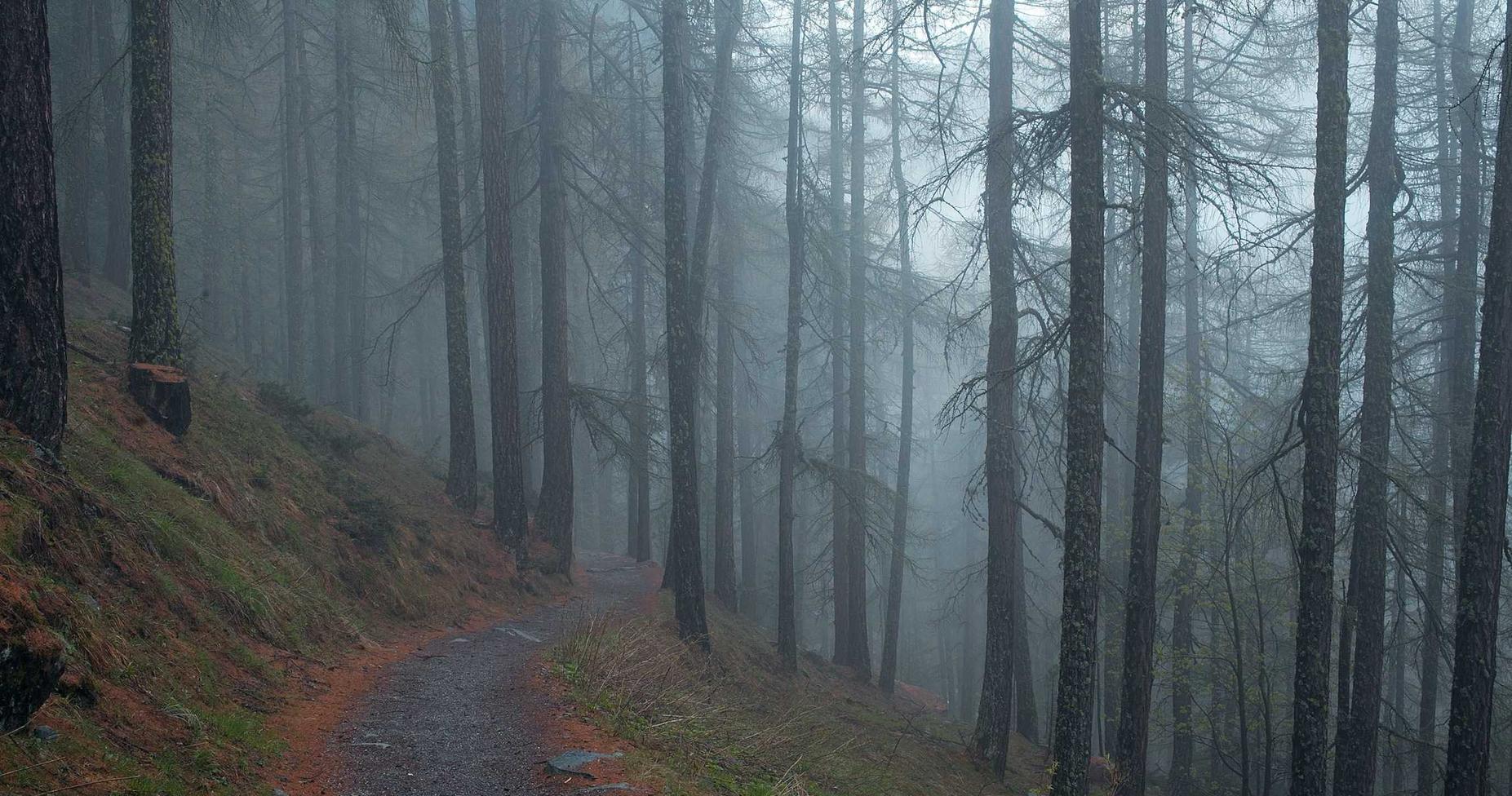 剑侠情缘3辅助- 青岛建站平台代理
