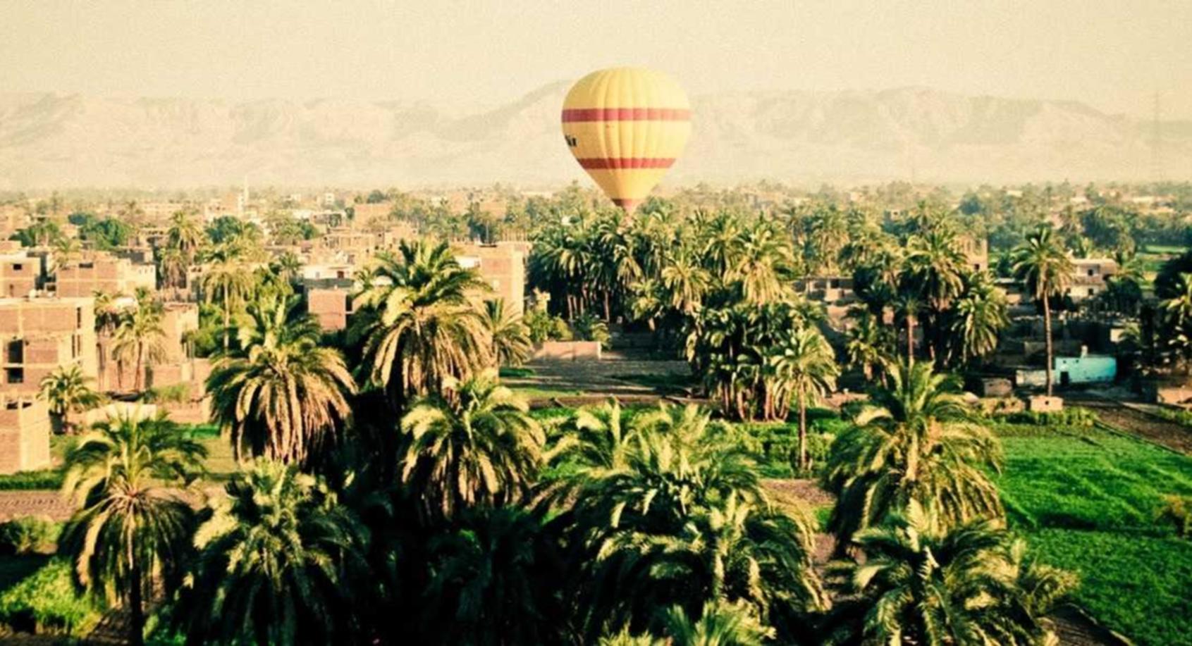 炸房器|如何进行实时网络监视和反黑客攻击？