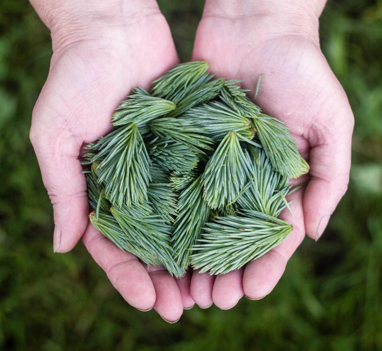 火网实名账号：汝南专业商标注册代理