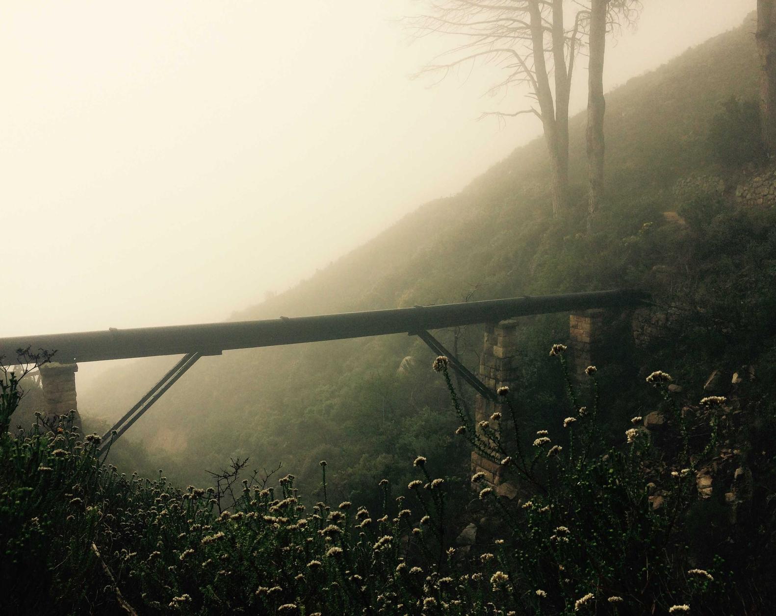 欧迪详情下载教程手机版app软件