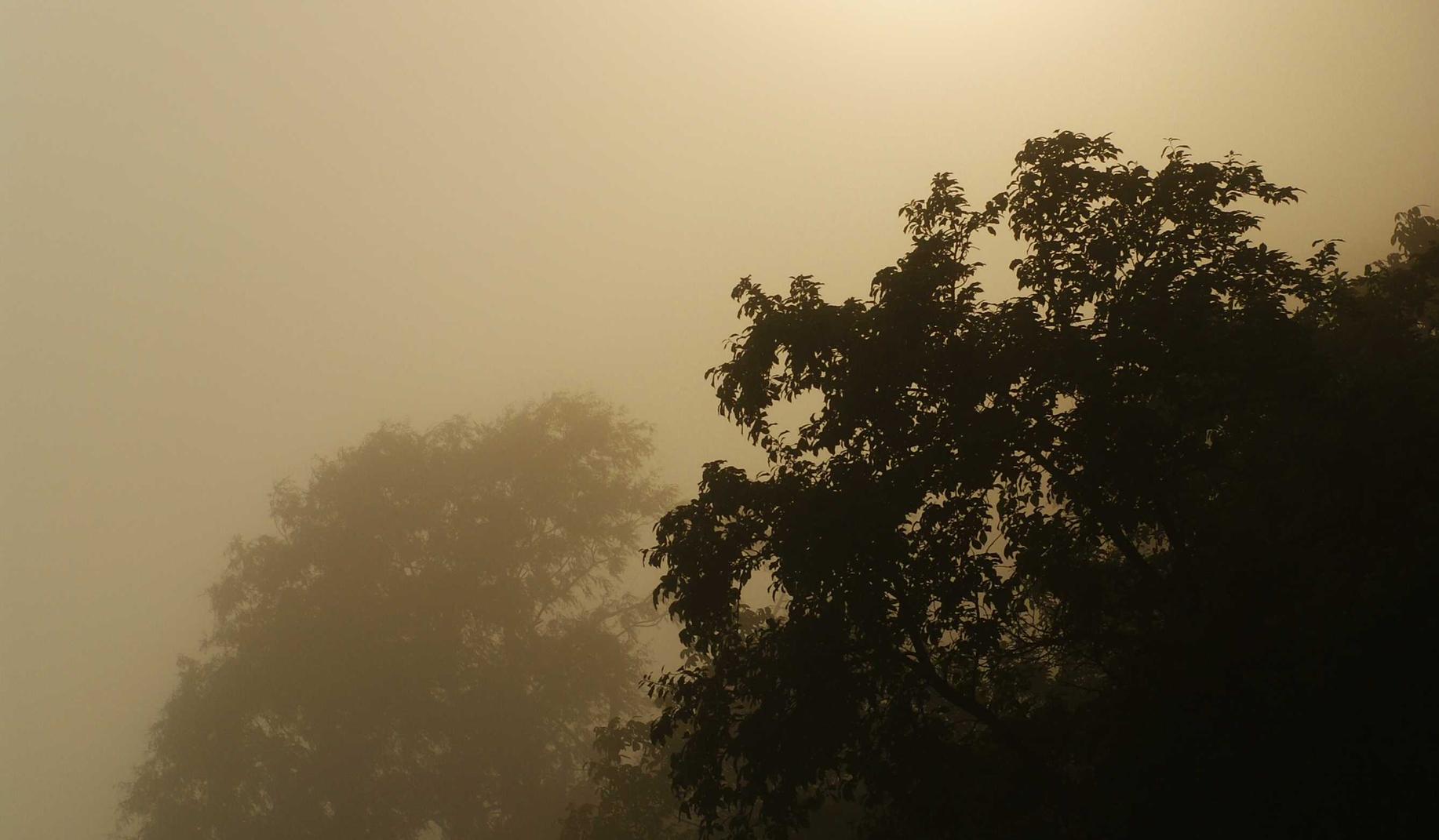 换绑手机卡- 长沙票务代理平台