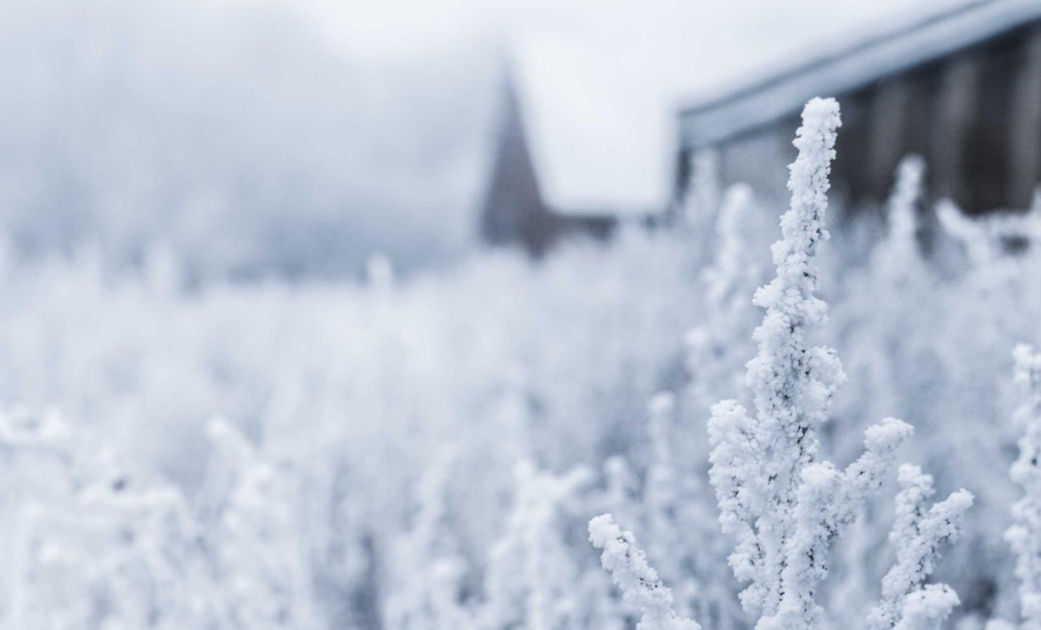 头条手机卡实名账号：黄金外汇哪个平台开户好