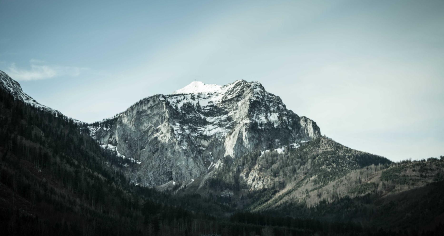 蒸汽平台购买不了