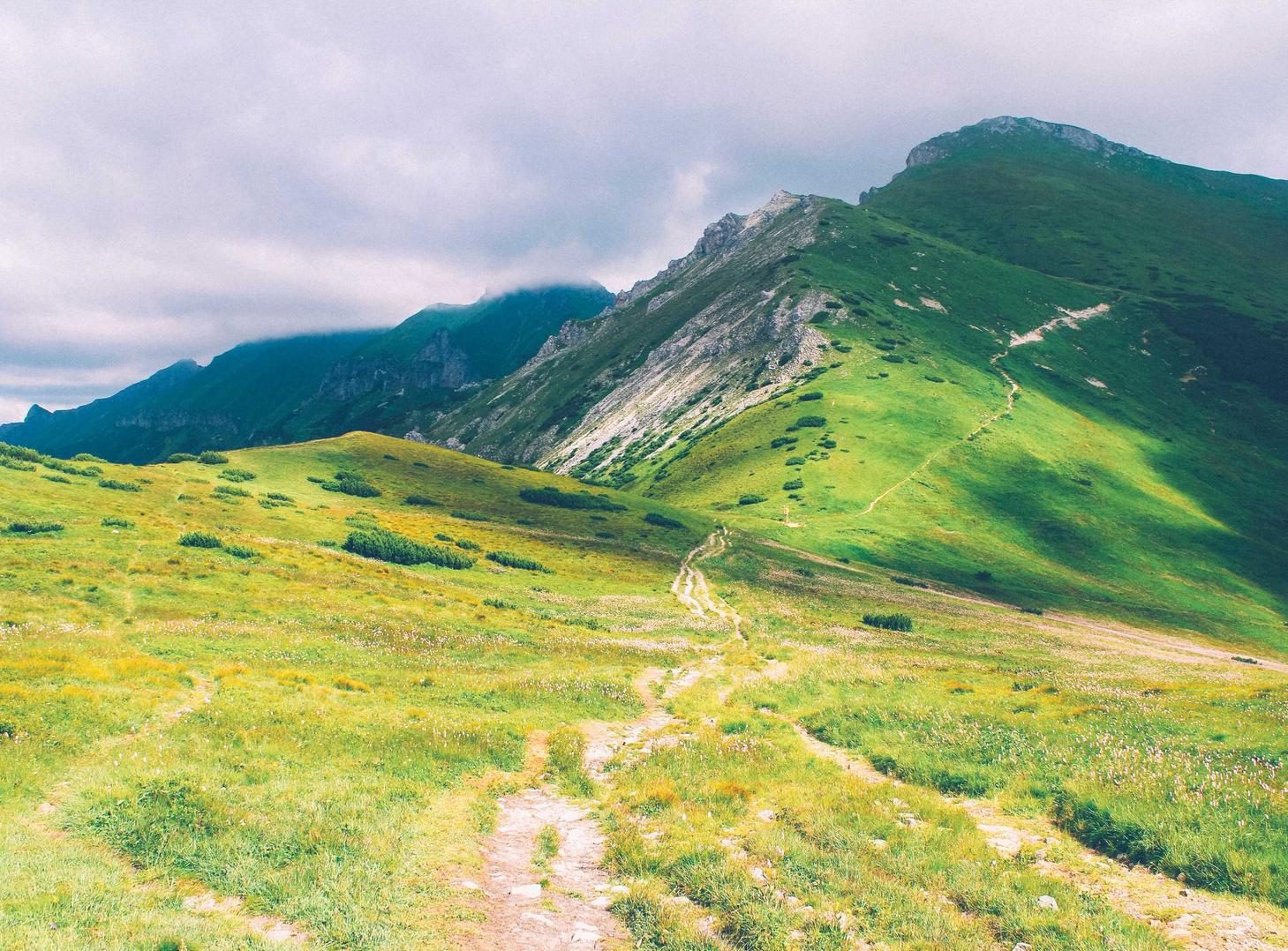 实名手机卡出售:建材加盟代理平台