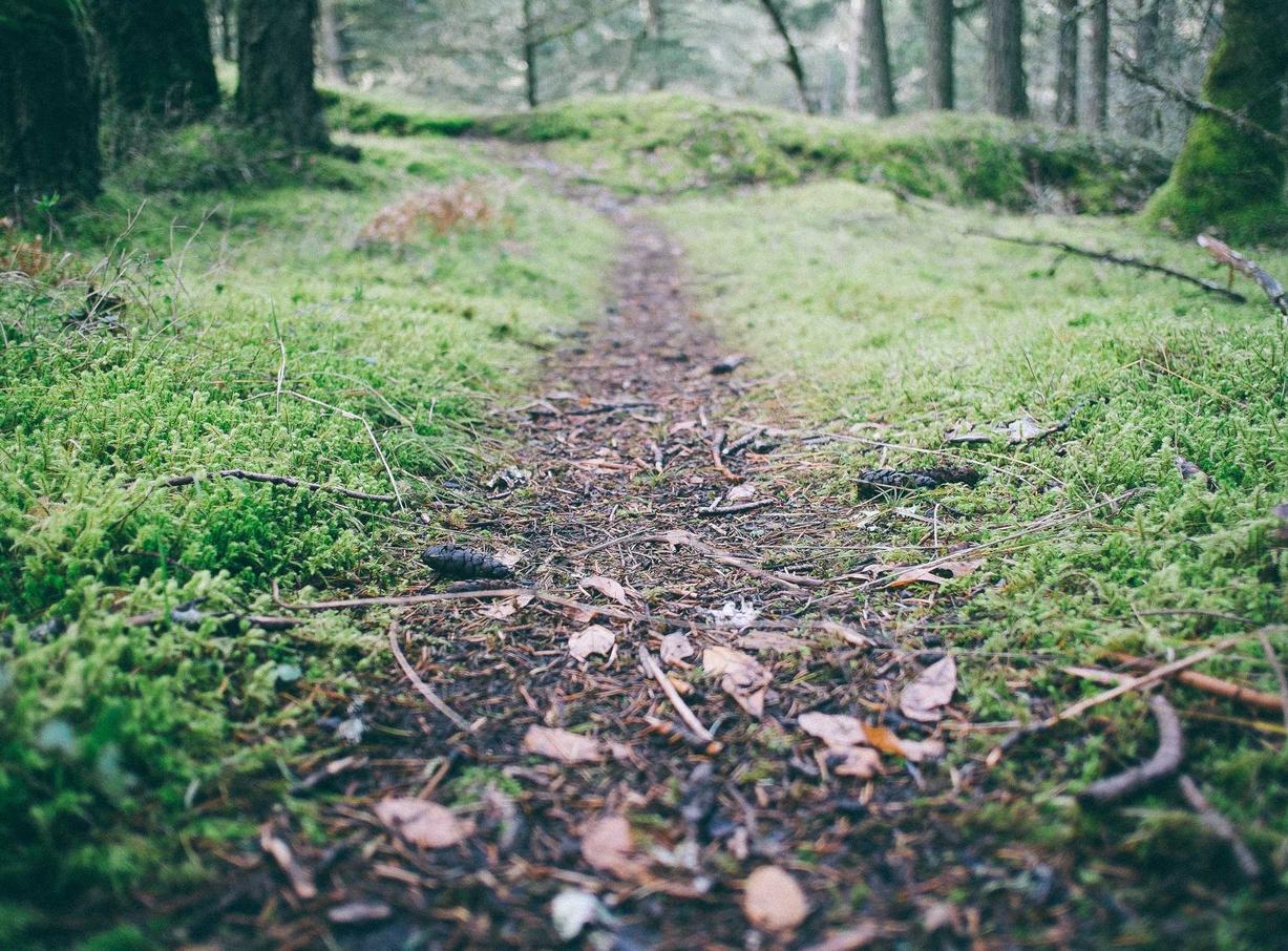 DDOS攻击测试|扶贫平台购买限额