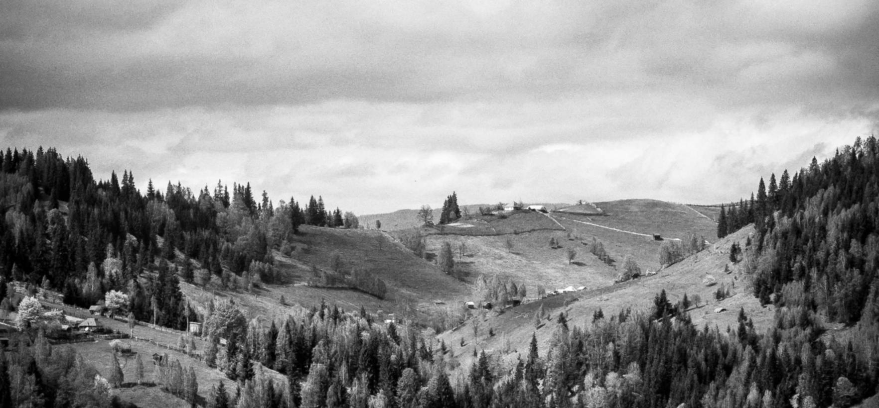 塔瑞斯世界:陕西好货平台加盟代理商