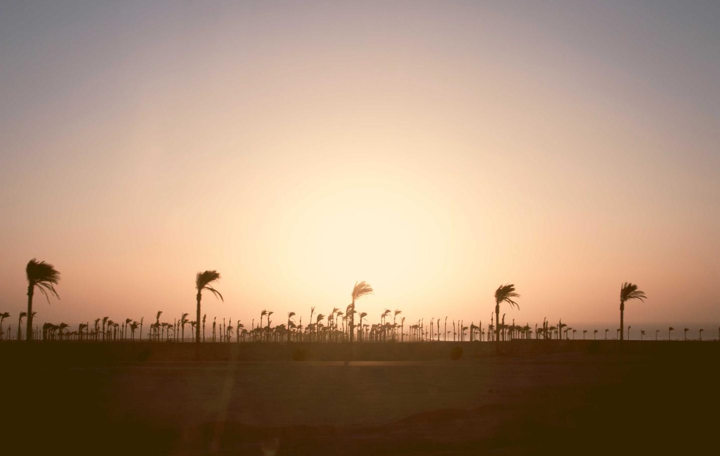 蜀山区注册代理记账收费