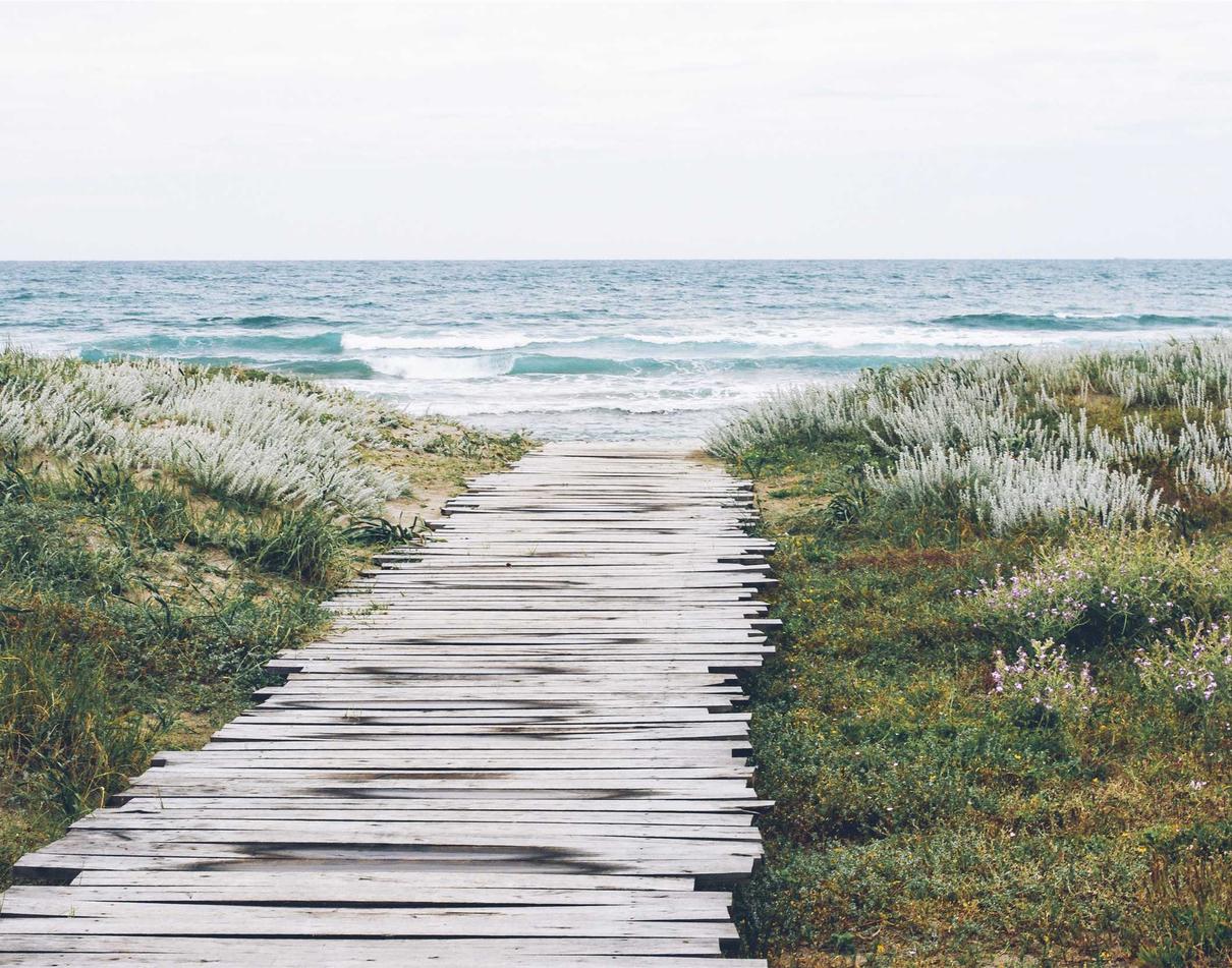 欧迪王者双语服务团队平台代理