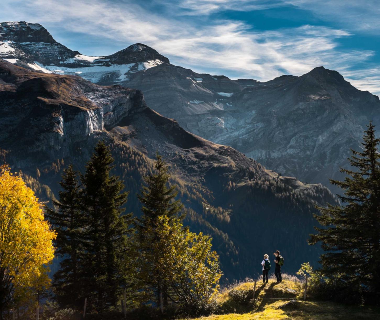 各类app实名实名账号：代理京喜平台招商