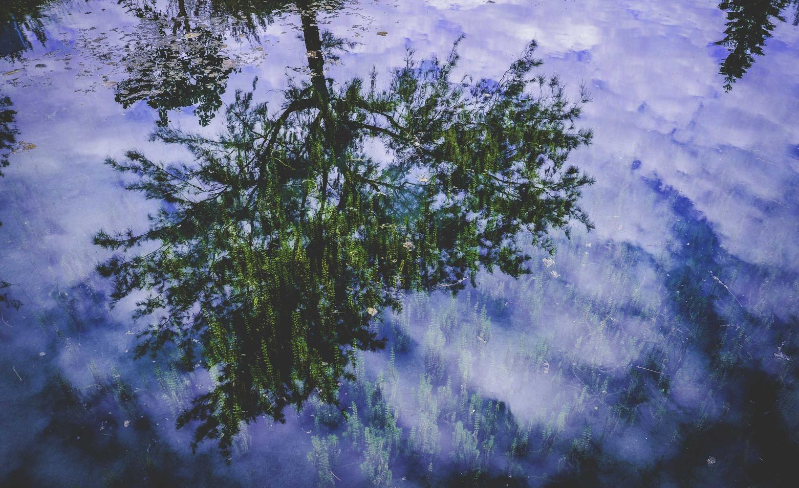 玩家时代亿谷智慧校园app详情下载教程