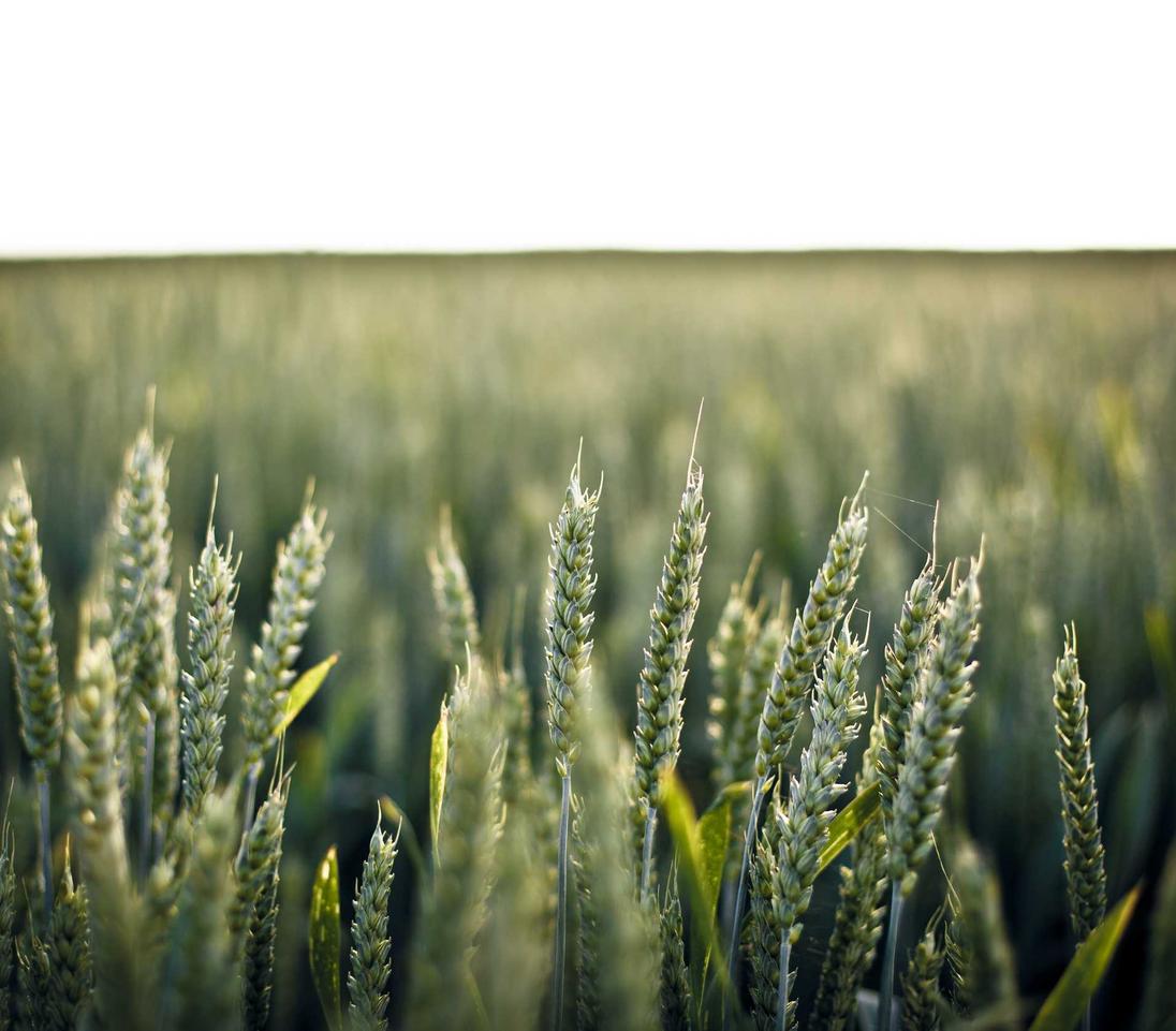 恒美掌校app详情下载教程