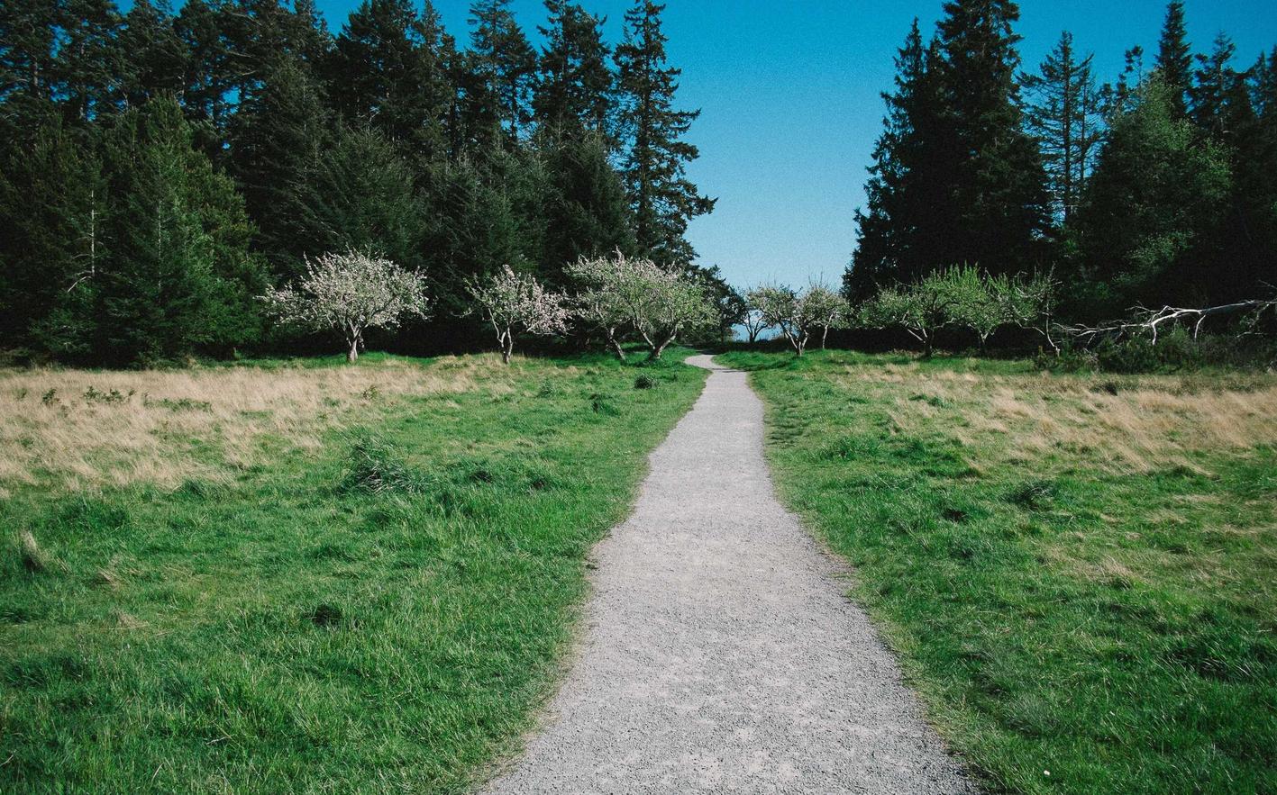 全新微信买卖：流量卡如何激发信息消费及相关产业