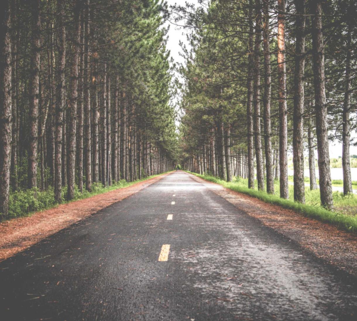 如何通过季节性词汇获得SEO优势